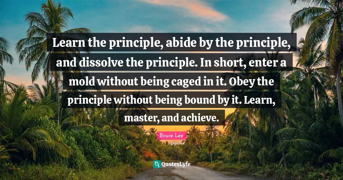 Learn the principle, abide by the principle, and dissolve the principle. In short, enter a mold without being caged in it. Obey the principle without being bound by it. Learn, master, and achieve.