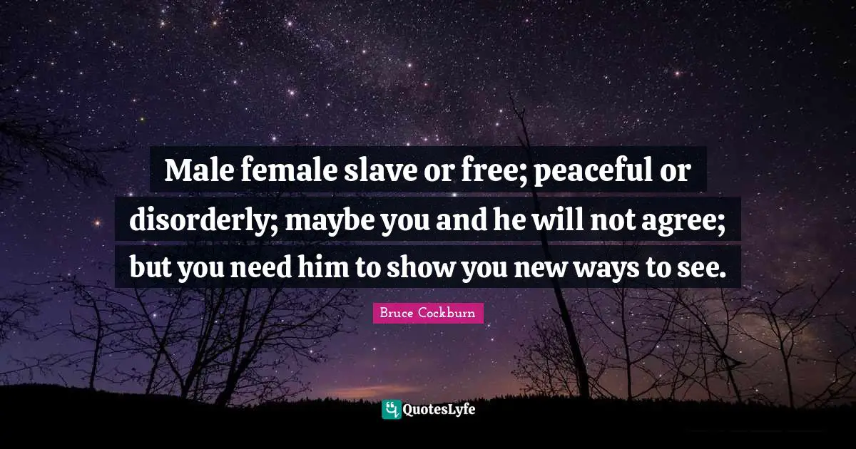 Male female slave or free; peaceful or disorderly; maybe you and he will not agree; but you need him to show you new ways to see.