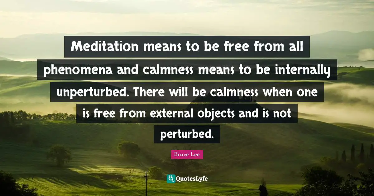 Materialism Quotes: "Meditation means to be free from all phenomena and calmness means to be internally unperturbed. There will be calmness when one is free from external objects and is not perturbed."