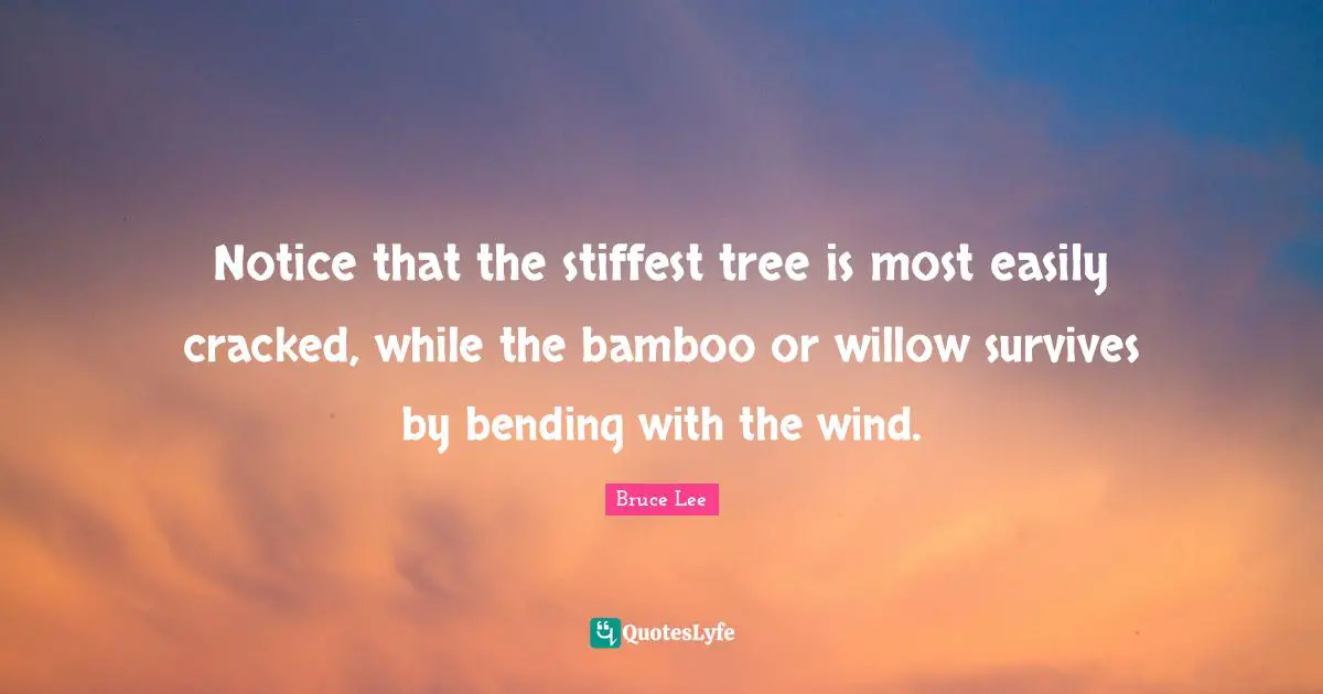 Tree Quotes: "Notice that the stiffest tree is most easily cracked, while the bamboo or willow survives by bending with the wind."