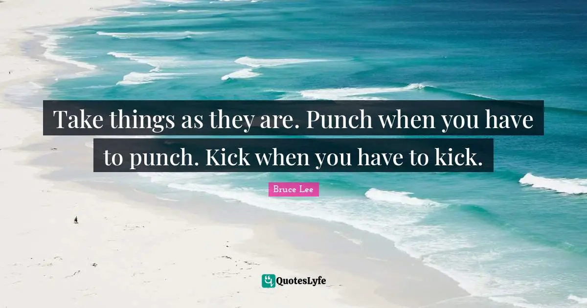Take things as they are. Punch when you have to punch. Kick when you have to kick.