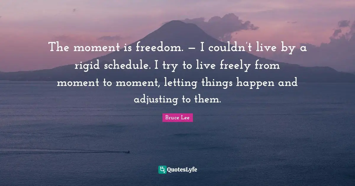 Adjusting Quotes: "The moment is freedom. — I couldn’t live by a rigid schedule. I try to live freely from moment to moment, letting things happen and adjusting to them."