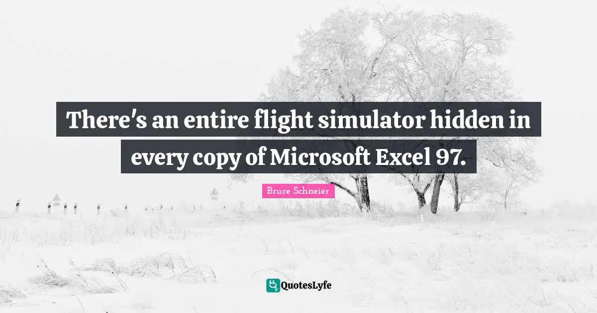 Bruce Schneier Quotes: "There's an entire flight simulator hidden in every copy of Microsoft Excel 97."