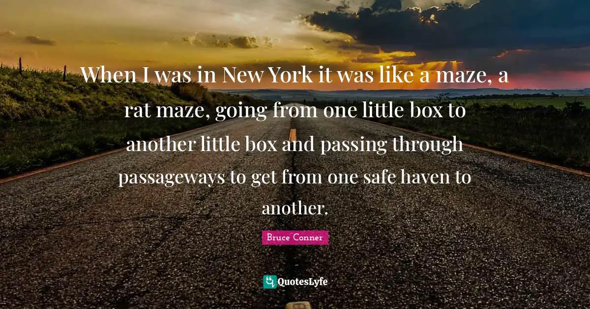 When I was in New York it was like a maze, a rat maze, going from one little box to another little box and passing through passageways to get from one safe haven to another.