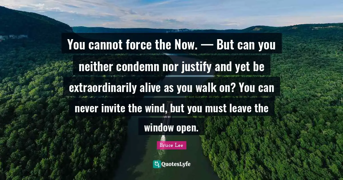 Justify Quotes: "You cannot force the Now. — But can you neither condemn nor justify and yet be extraordinarily alive as you walk on? You can never invite the wind, but you must leave the window open."