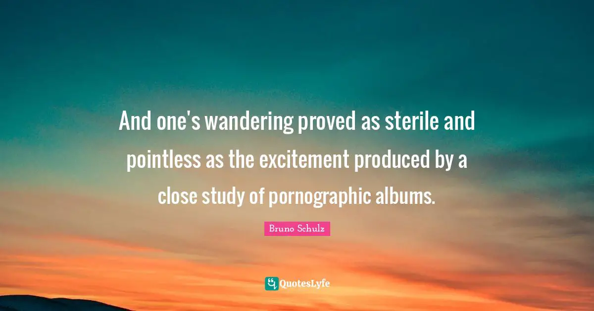 Bruno Schulz Quotes: "And one's wandering proved as sterile and pointless as the excitement produced by a close study of pornographic albums."