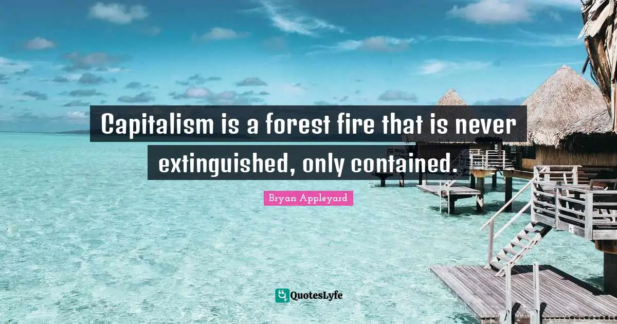 Capitalism is a forest fire that is never extinguished, only contained.