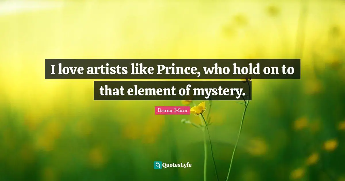 I love artists like Prince, who hold on to that element of mystery.