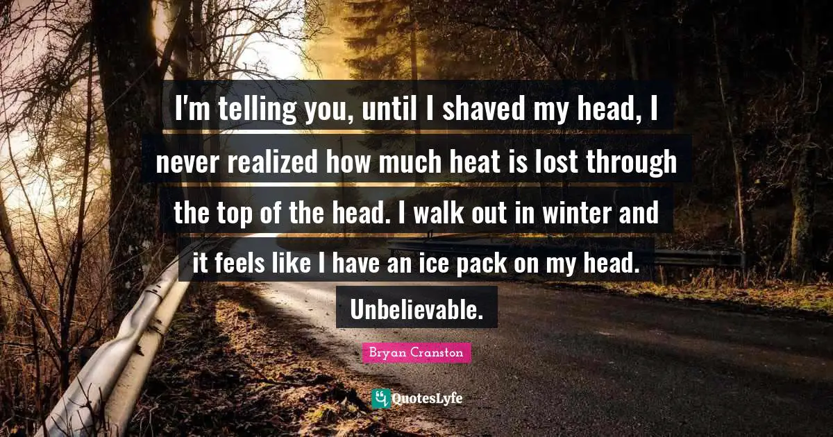I'm telling you, until I shaved my head, I never realized how much heat is lost through the top of the head. I walk out in winter and it feels like I have an ice pack on my head. Unbelievable.