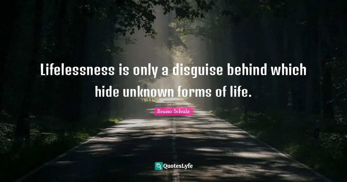 Bruno Schulz Quotes: "Lifelessness is only a disguise behind which hide unknown forms of life."