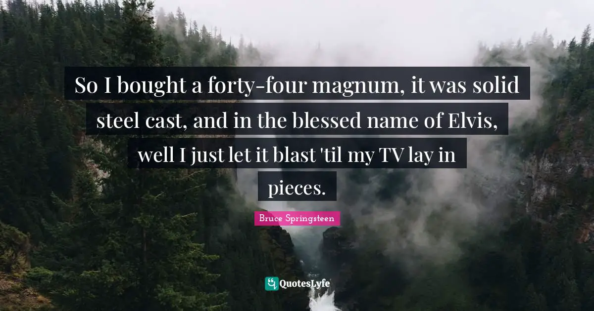 So I bought a forty-four magnum, it was solid steel cast, and in the blessed name of Elvis, well I just let it blast 'til my TV lay in pieces.