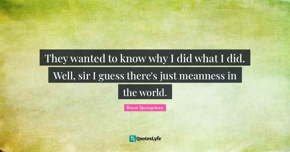 They wanted to know why I did what I did. Well, sir I guess there's just meanness in the world.