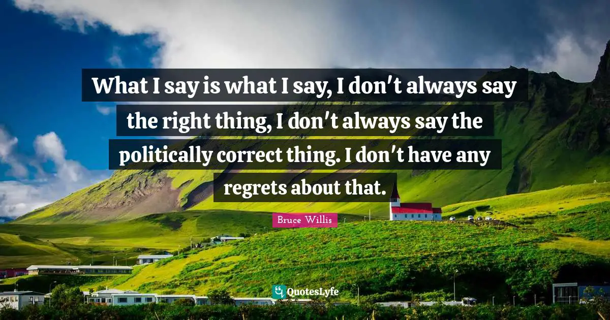 What I say is what I say, I don't always say the right thing, I don't always say the politically correct thing. I don't have any regrets about that.