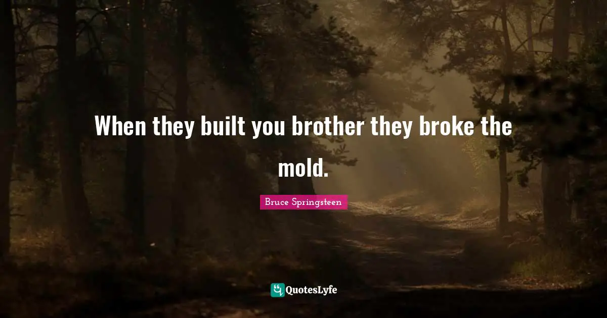 Broke Quotes: "When they built you brother they broke the mold."