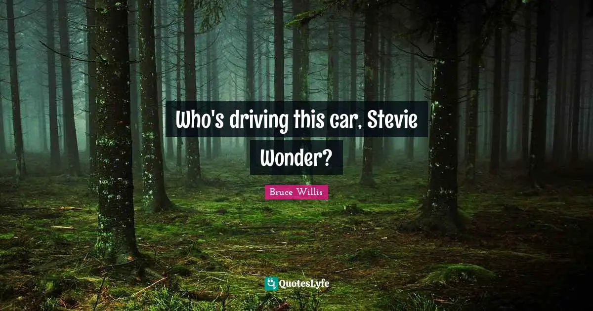 Who's driving this car, Stevie Wonder?