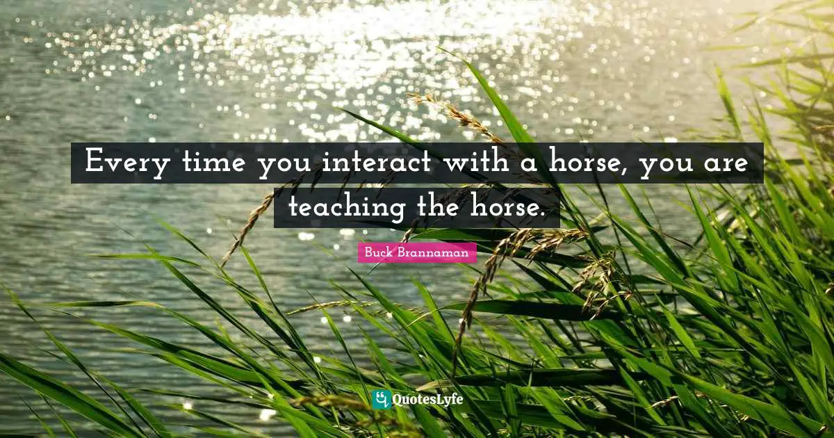Buck Brannaman Quotes: "Every time you interact with a horse, you are teaching the horse."