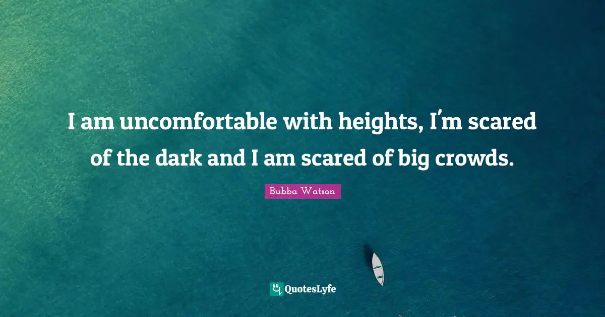 I am uncomfortable with heights, I'm scared of the dark and I am scared of big crowds.