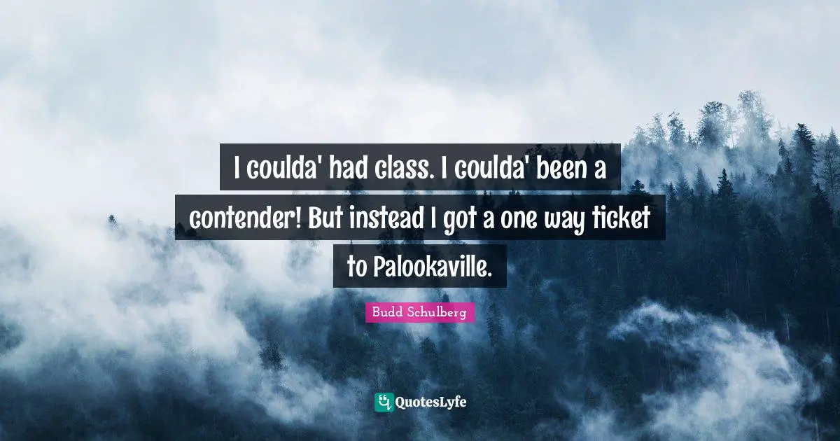 I coulda' had class. I coulda' been a contender! But instead I got a one way ticket to Palookaville.