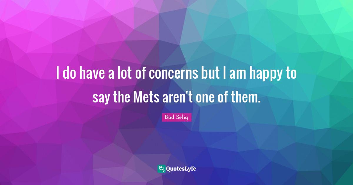 I do have a lot of concerns but I am happy to say the Mets aren't one of them.