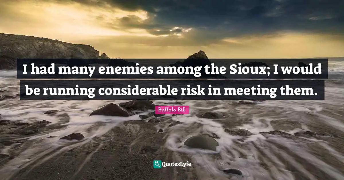 I had many enemies among the Sioux; I would be running considerable risk in meeting them.