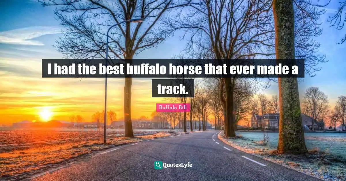 I had the best buffalo horse that ever made a track.