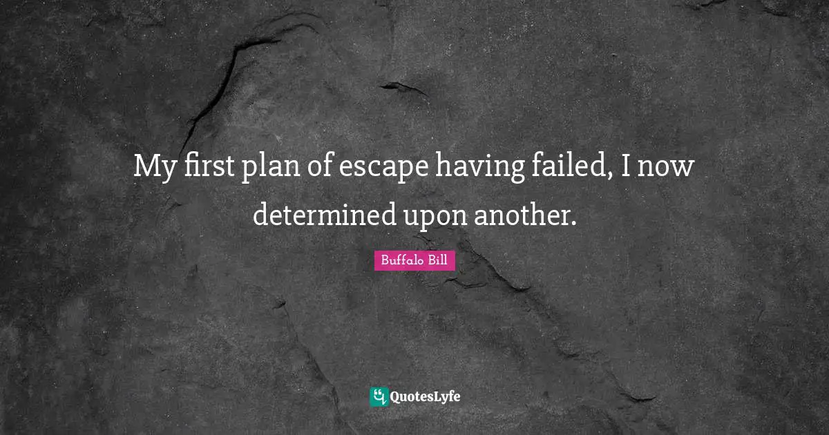 My first plan of escape having failed, I now determined upon another.