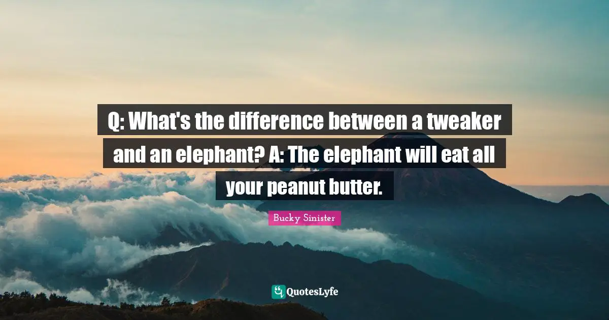 Q: What's the difference between a tweaker and an elephant? A: The elephant will eat all your peanut butter.