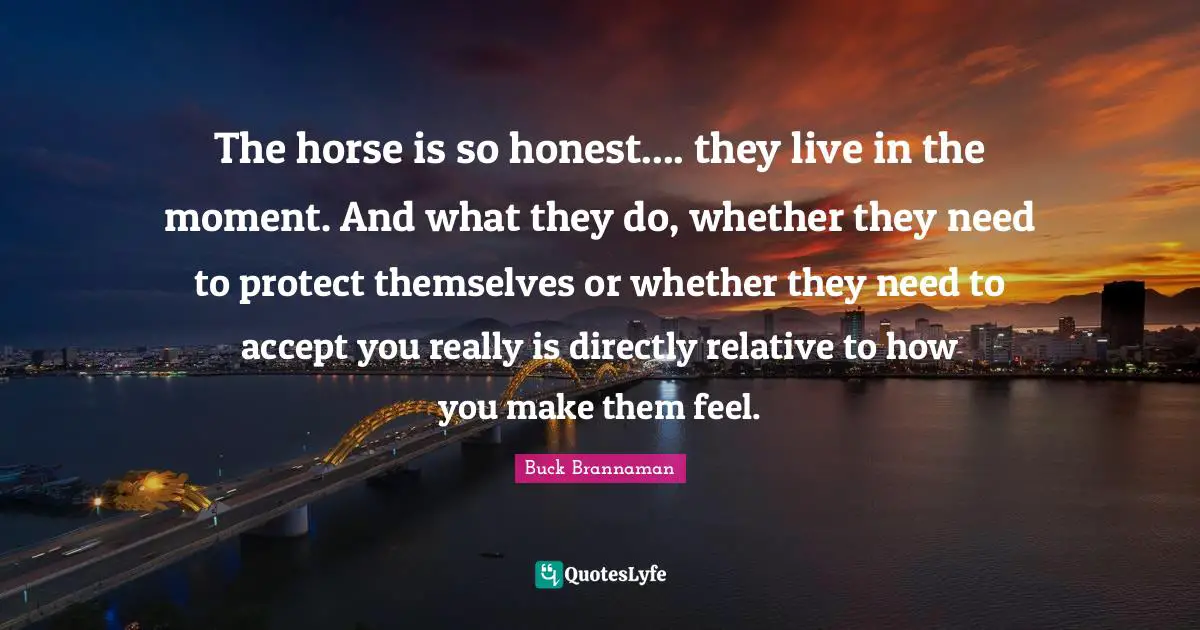 Buck Brannaman Quotes: "The horse is so honest.... they live in the moment. And what they do, whether they need to protect themselves or whether they need to accept you really is directly relative to how you make them feel."