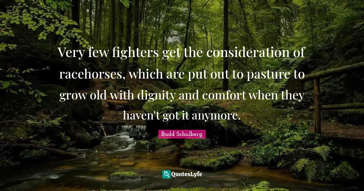 Very few fighters get the consideration of racehorses, which are put out to pasture to grow old with dignity and comfort when they haven't got it anymore.