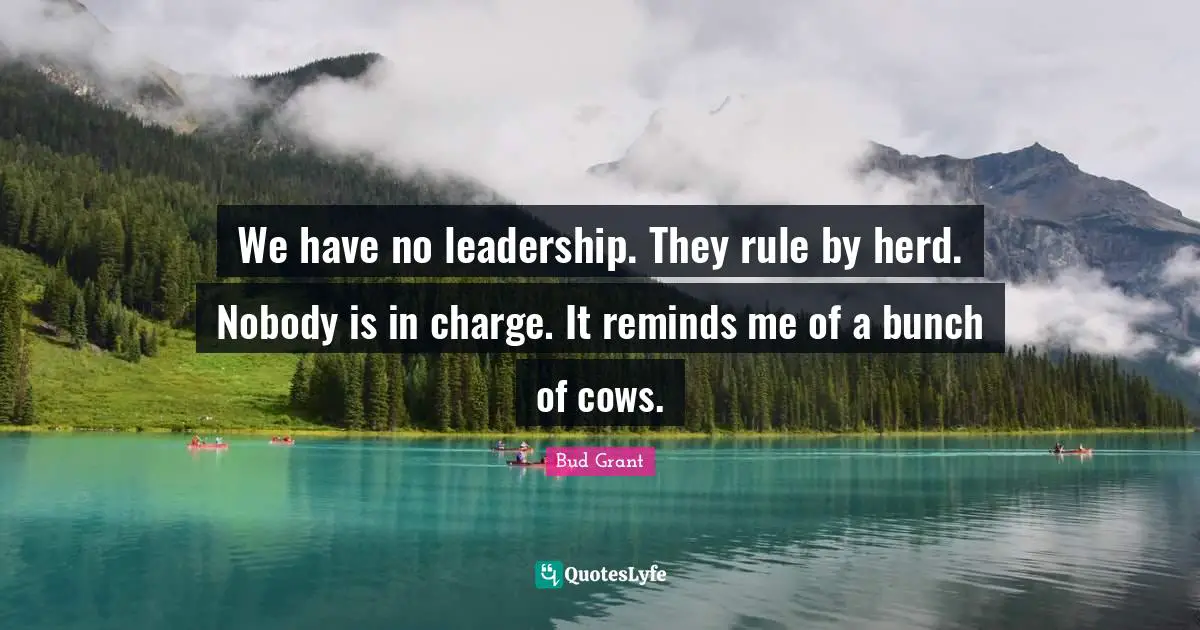 Bunch Quotes: "We have no leadership. They rule by herd. Nobody is in charge. It reminds me of a bunch of cows."