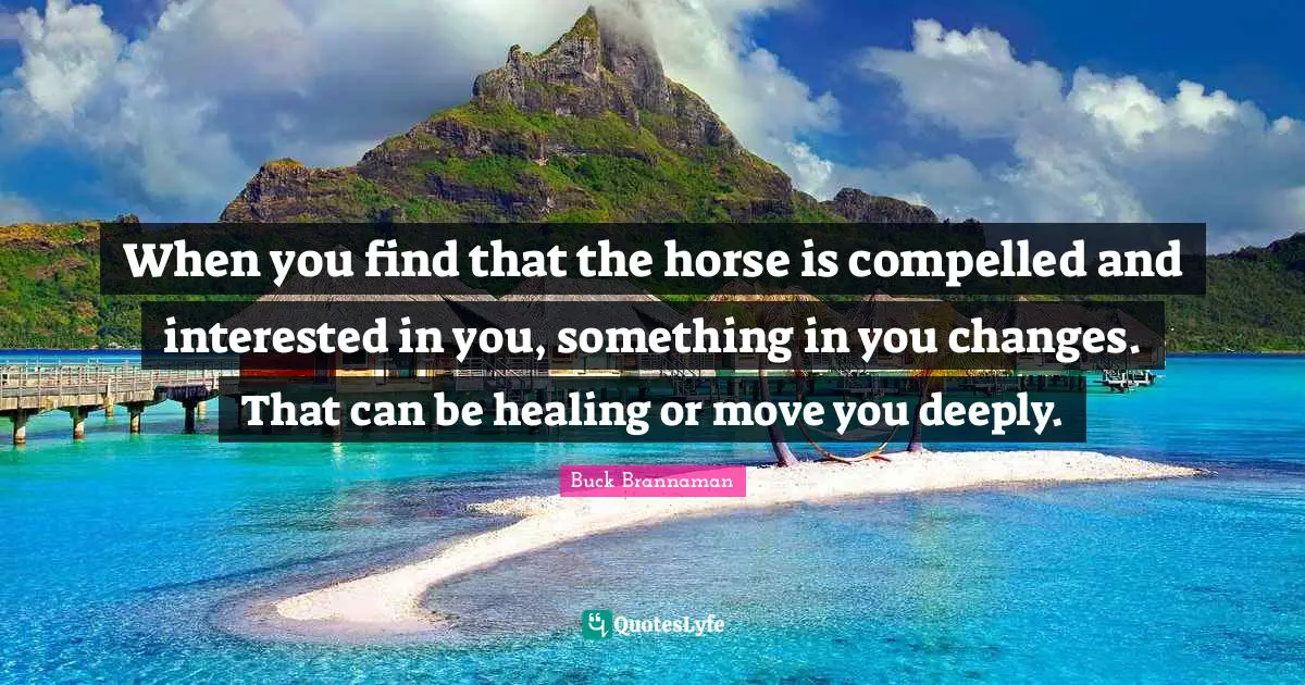 Buck Brannaman Quotes: "When you find that the horse is compelled and interested in you, something in you changes. That can be healing or move you deeply."