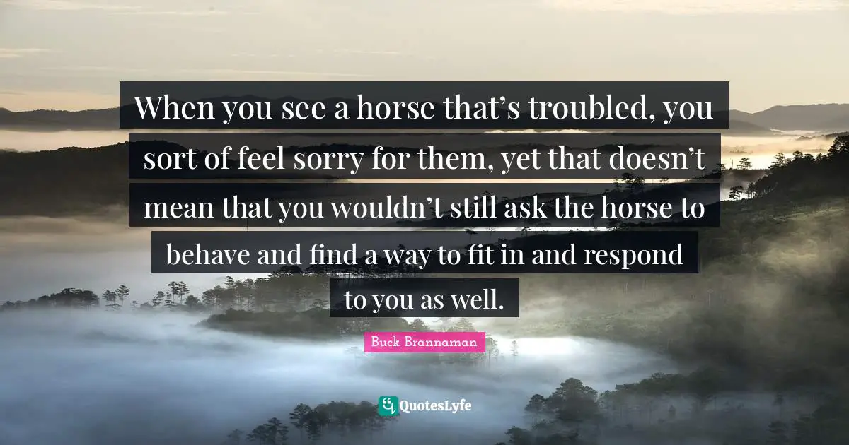 When you see a horse that’s troubled, you sort of feel sorry for them, yet that doesn’t mean that you wouldn’t still ask the horse to behave and find a way to fit in and respond to you as well.
