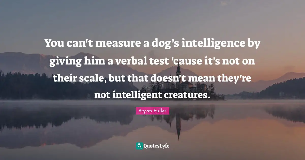 You can't measure a dog's intelligence by giving him a verbal test 'cause it's not on their scale, but that doesn't mean they're not intelligent creatures.