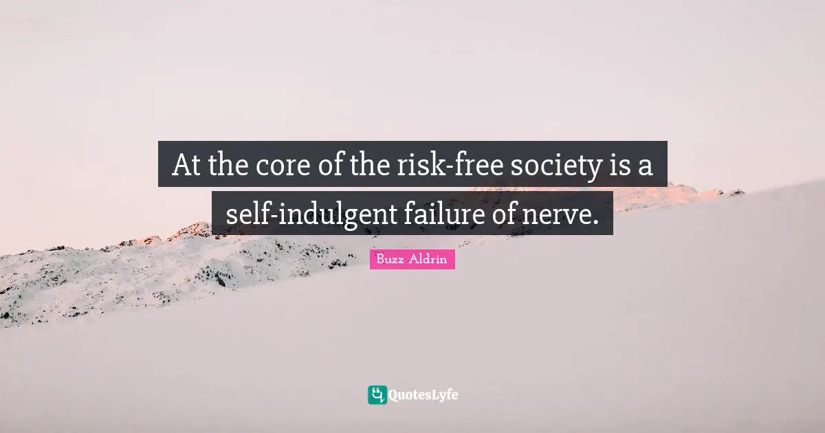 At the core of the risk-free society is a self-indulgent failure of nerve.
