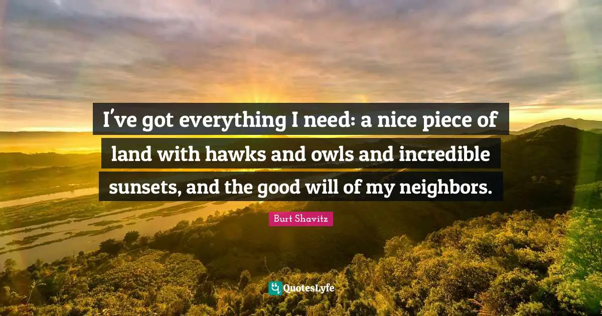 I've got everything I need: a nice piece of land with hawks and owls and incredible sunsets, and the good will of my neighbors.