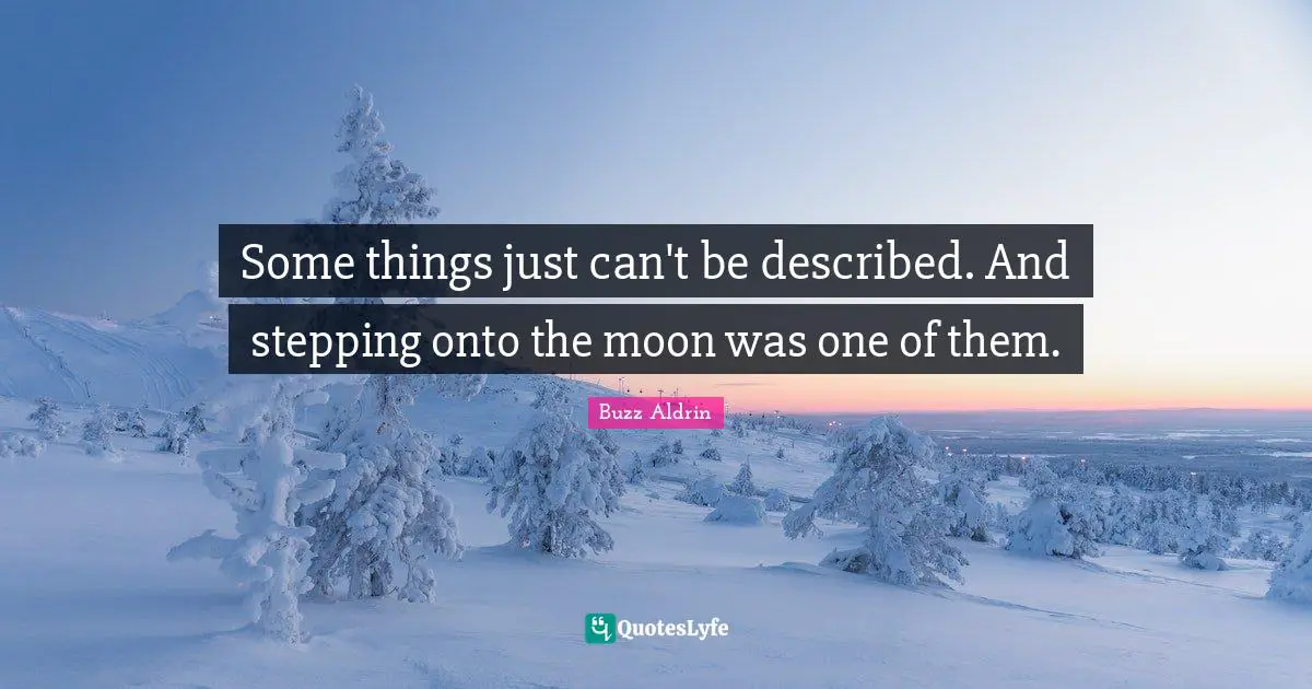 Some things just can't be described. And stepping onto the moon was one of them.