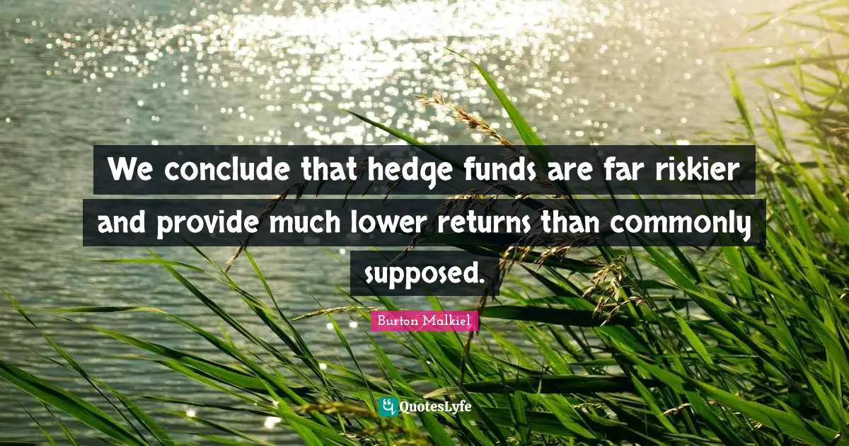 We conclude that hedge funds are far riskier and provide much lower returns than commonly supposed.