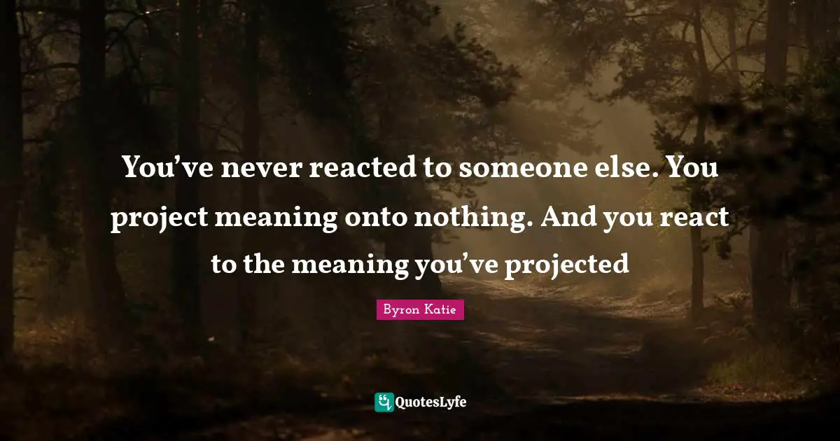 You’ve never reacted to someone else. You project meaning onto nothing. And you react to the meaning you’ve projected