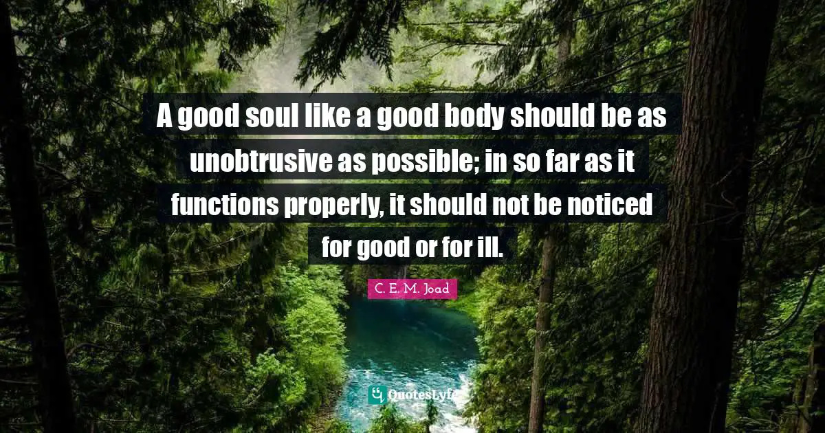 A good soul like a good body should be as unobtrusive as possible; in so far as it functions properly, it should not be noticed for good or for ill.