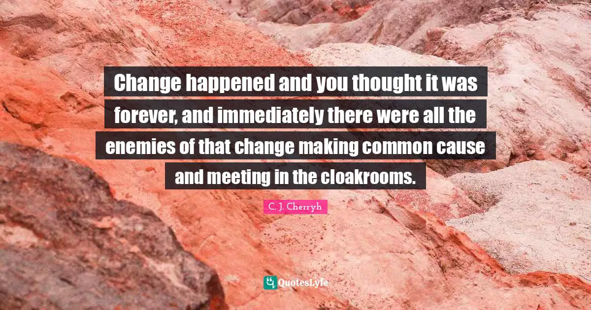 Change happened and you thought it was forever, and immediately there were all the enemies of that change making common cause and meeting in the cloakrooms.