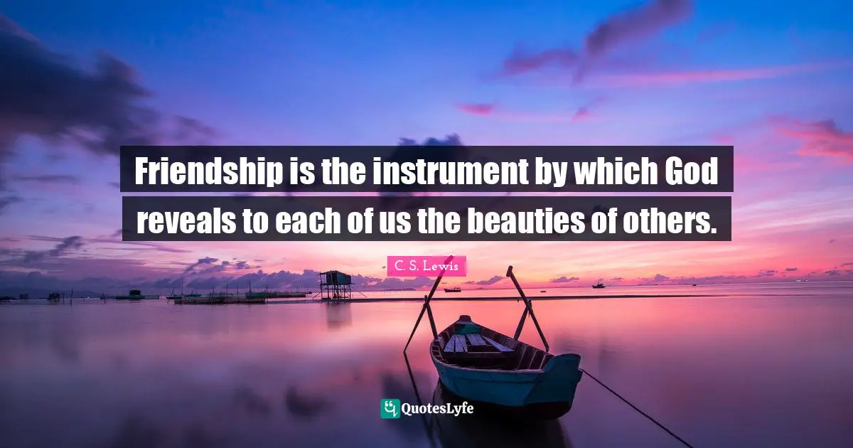 Friendship is the instrument by which God reveals to each of us the beauties of others.