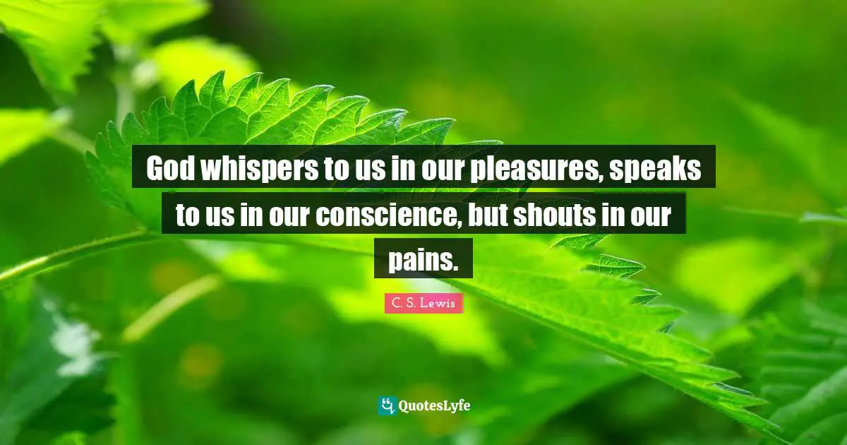 God whispers to us in our pleasures, speaks to us in our conscience, but shouts in our pains.