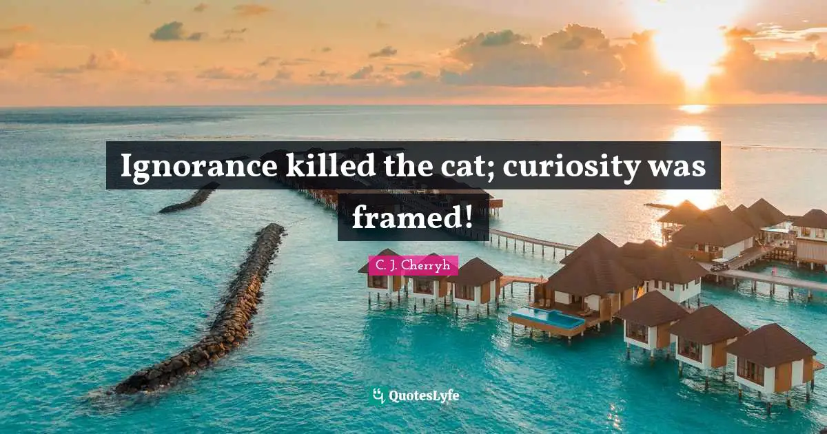 Framed Quotes: "Ignorance killed the cat; curiosity was framed!"