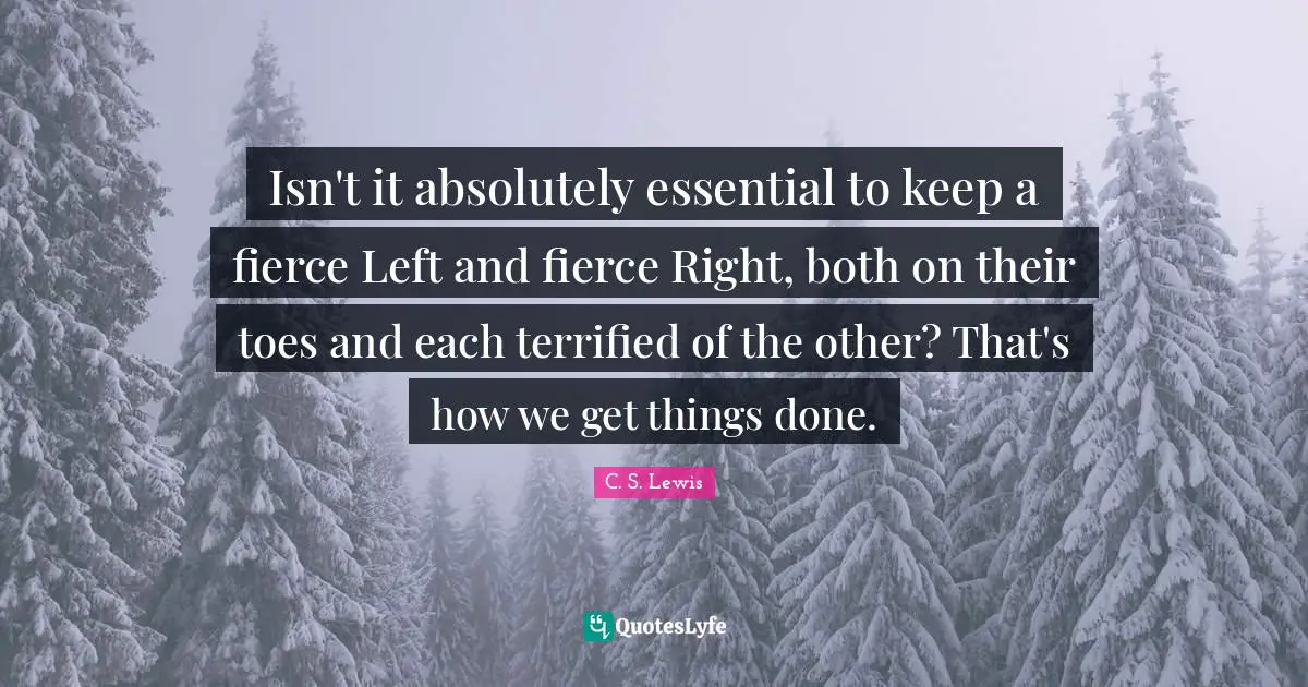 Isn't it absolutely essential to keep a fierce Left and fierce Right, both on their toes and each terrified of the other? That's how we get things done.