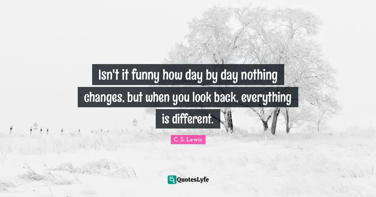 Comedy Quotes: "Isn't it funny how day by day nothing changes, but when you look back, everything is different."