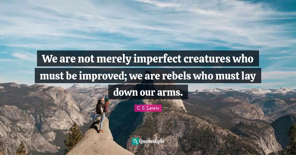 Rebel Quotes: "We are not merely imperfect creatures who must be improved; we are rebels who must lay down our arms."