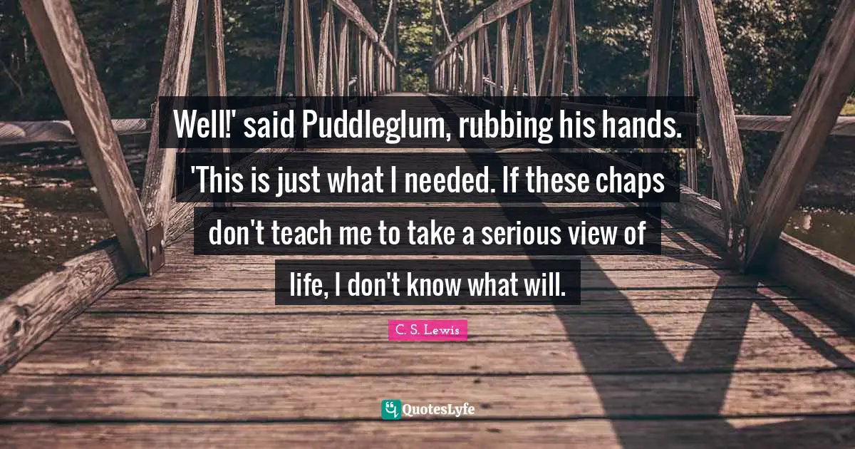 Well!' said Puddleglum, rubbing his hands. 'This is just what I needed. If these chaps don't teach me to take a serious view of life, I don't know what will.