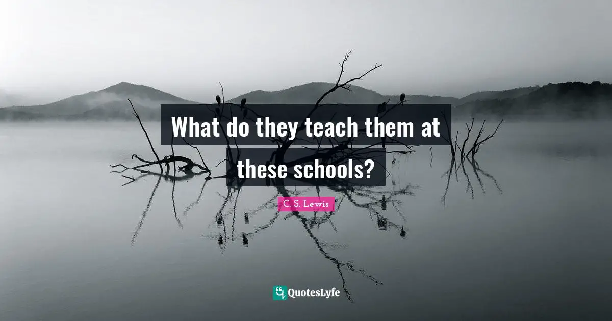 What do they teach them at these schools?