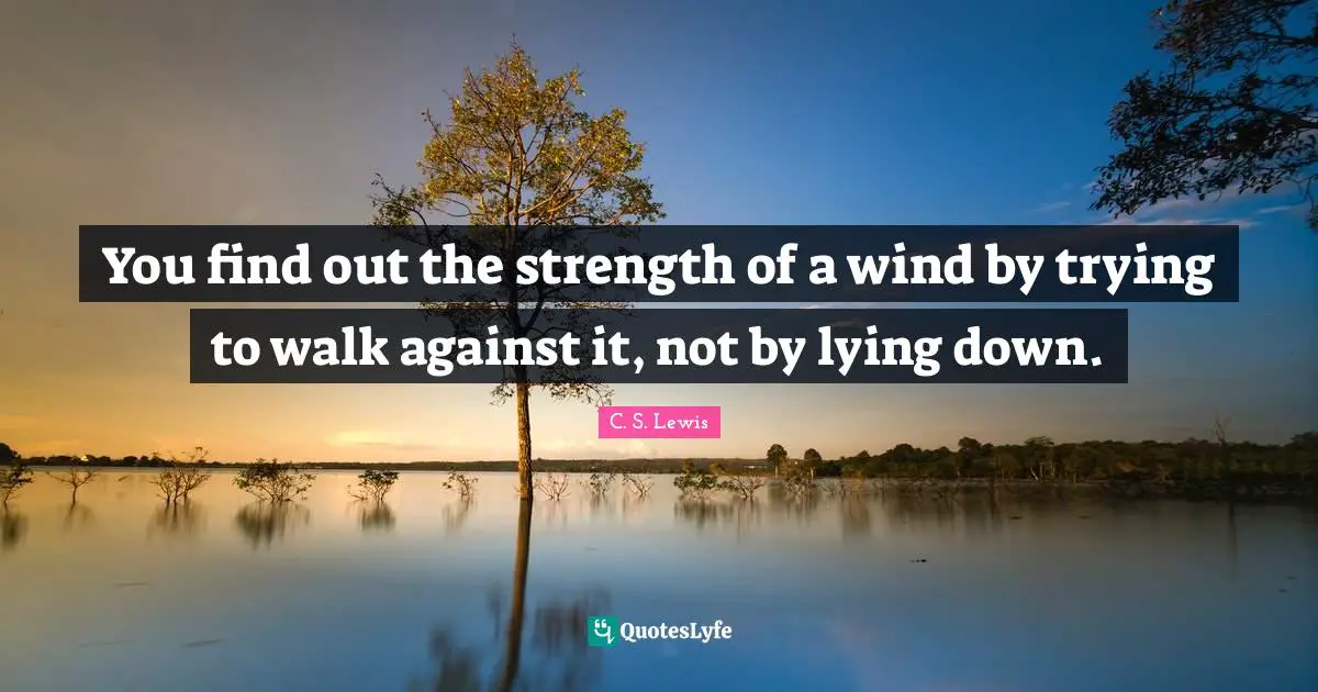 You find out the strength of a wind by trying to walk against it, not by lying down.