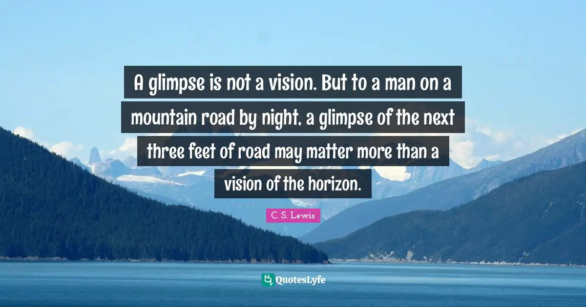 A glimpse is not a vision. But to a man on a mountain road by night, a glimpse of the next three feet of road may matter more than a vision of the horizon.